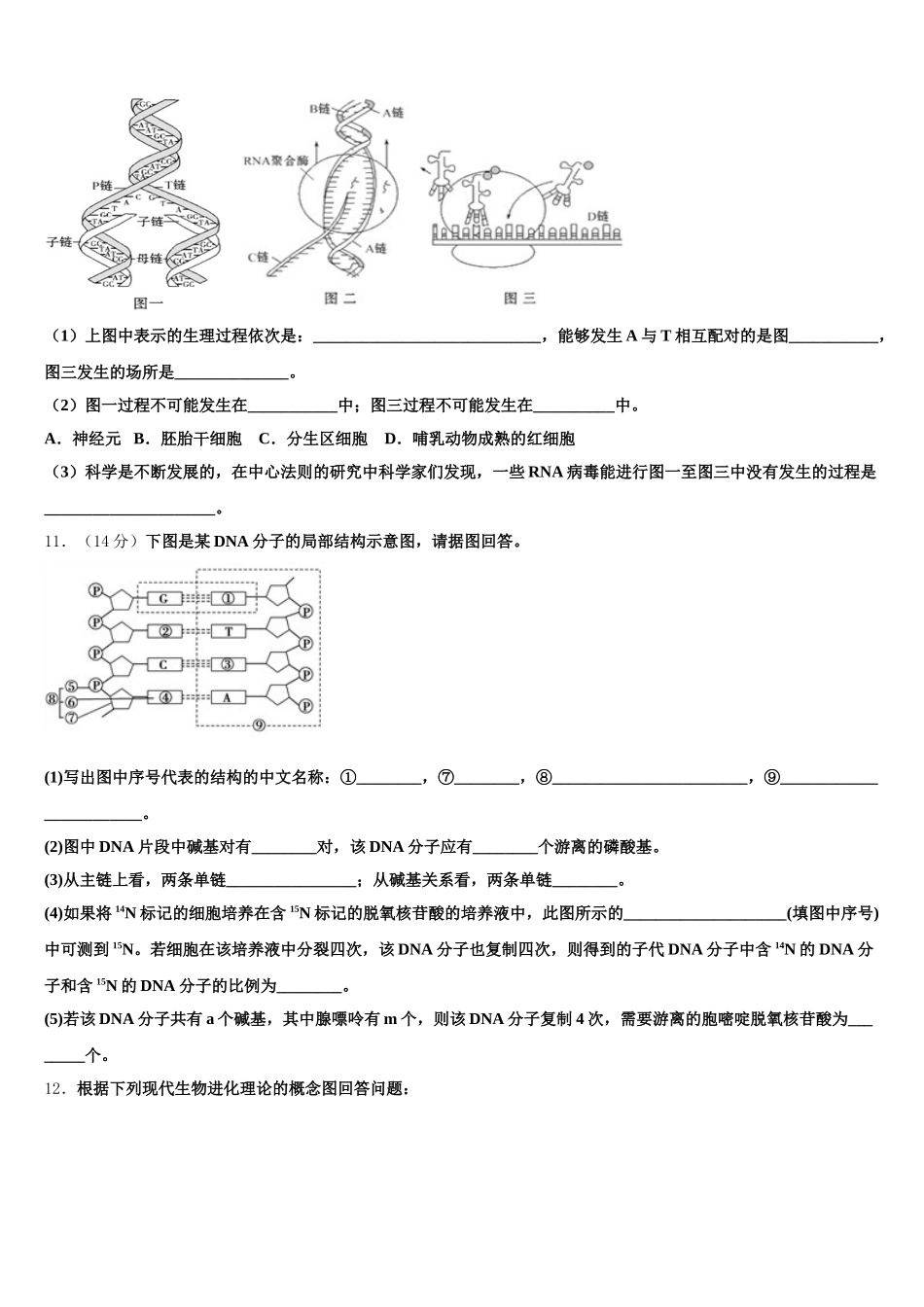 2024-2025学年江西省景德镇一中高一下生物期末综合测试模拟试题含解析_第3页