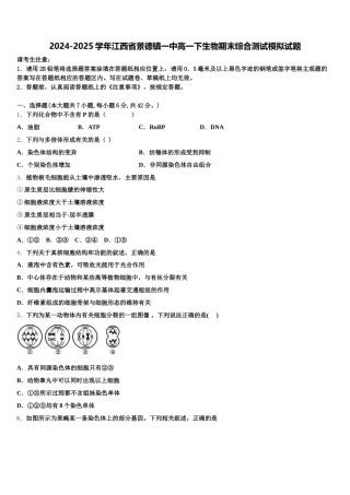2024-2025学年江西省景德镇一中高一下生物期末综合测试模拟试题含解析