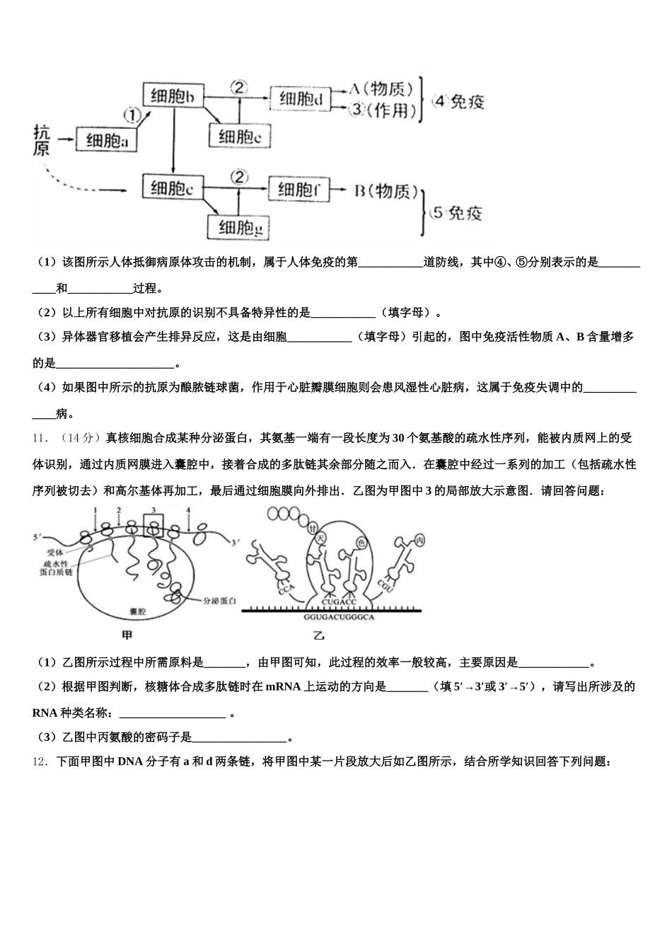 2024-2025学年江西省南昌市莲塘镇第一中学高一下生物期末达标检测模拟试题含解析_第3页