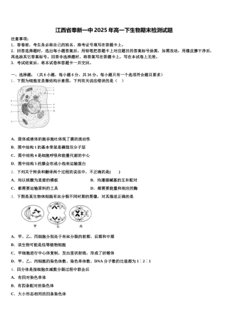 江西省奉新一中2025年高一下生物期末检测试题含解析
