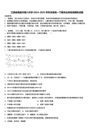 江西省南昌市第八中学2024-2025学年生物高一下期末达标检测模拟试题含解析