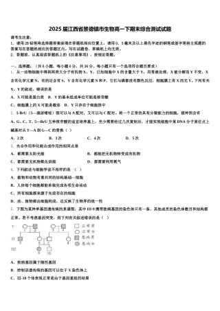 2025届江西省景德镇市生物高一下期末综合测试试题含解析