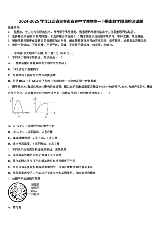 2024-2025学年江西省宜春市宜春中学生物高一下期末教学质量检测试题含解析