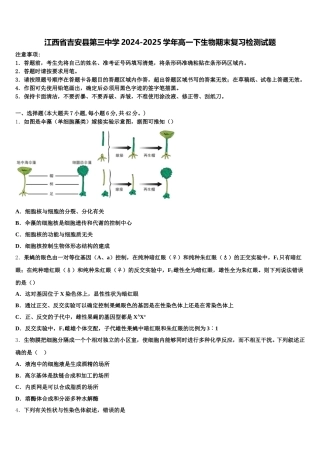 江西省吉安县第三中学2024-2025学年高一下生物期末复习检测试题含解析