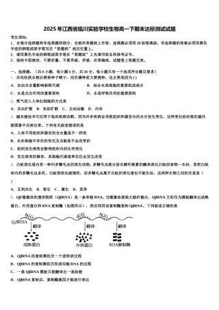 2025年江西省临川实验学校生物高一下期末达标测试试题含解析