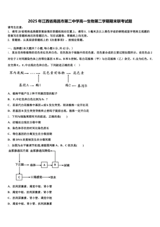 2025年江西省南昌市第二中学高一生物第二学期期末联考试题含解析