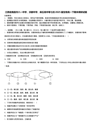 江西省南昌市八一中学、洪都中学、麻丘高中等七校2025届生物高一下期末调研试题含解析