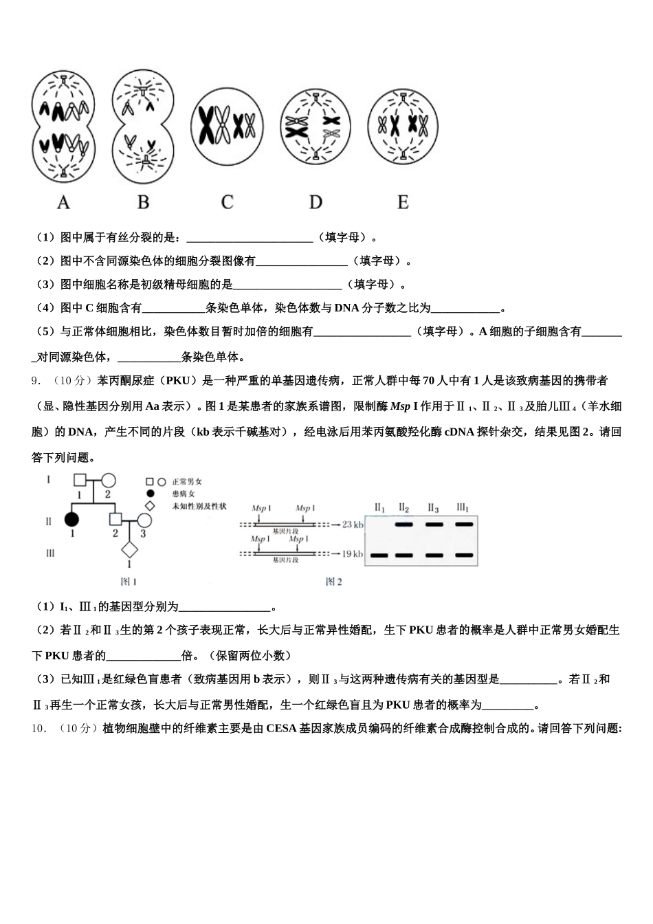 2025年江西南康市南康中学高一下生物期末质量跟踪监视模拟试题含解析_第3页