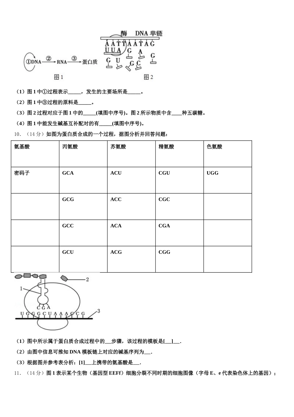 2025届江西省南昌市新建一中生物高一第二学期期末监测试题含解析_第3页