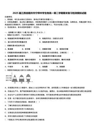 2025届江西省赣州市宁师中学生物高一第二学期期末复习检测模拟试题含解析