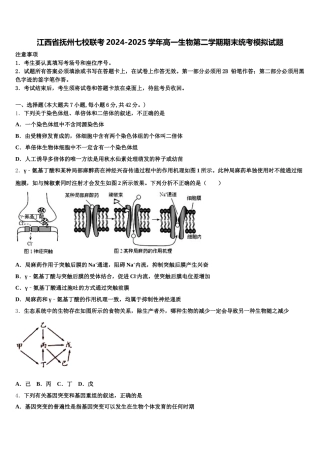 江西省抚州七校联考2024-2025学年高一生物第二学期期末统考模拟试题含解析