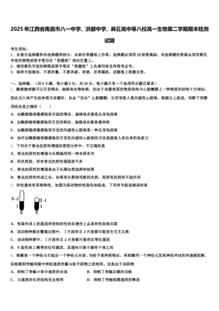 2025年江西省南昌市八一中学、洪都中学、麻丘高中等八校高一生物第二学期期末检测试题含解析