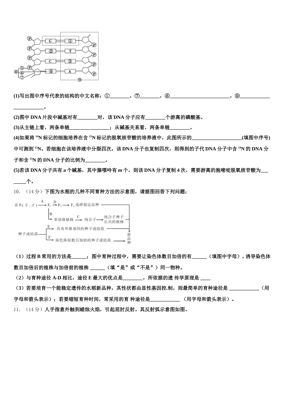 江西省抚州市临川第一中学2024-2025学年高一下生物期末教学质量检测试题含解析_第3页