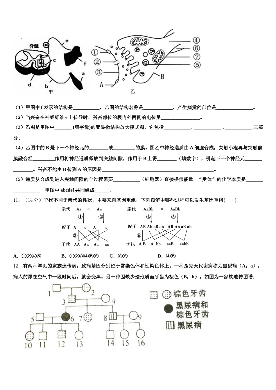 2025年江西省南昌市安义中学生物高一下期末监测模拟试题含解析_第3页