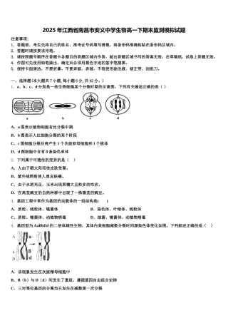 2025年江西省南昌市安义中学生物高一下期末监测模拟试题含解析