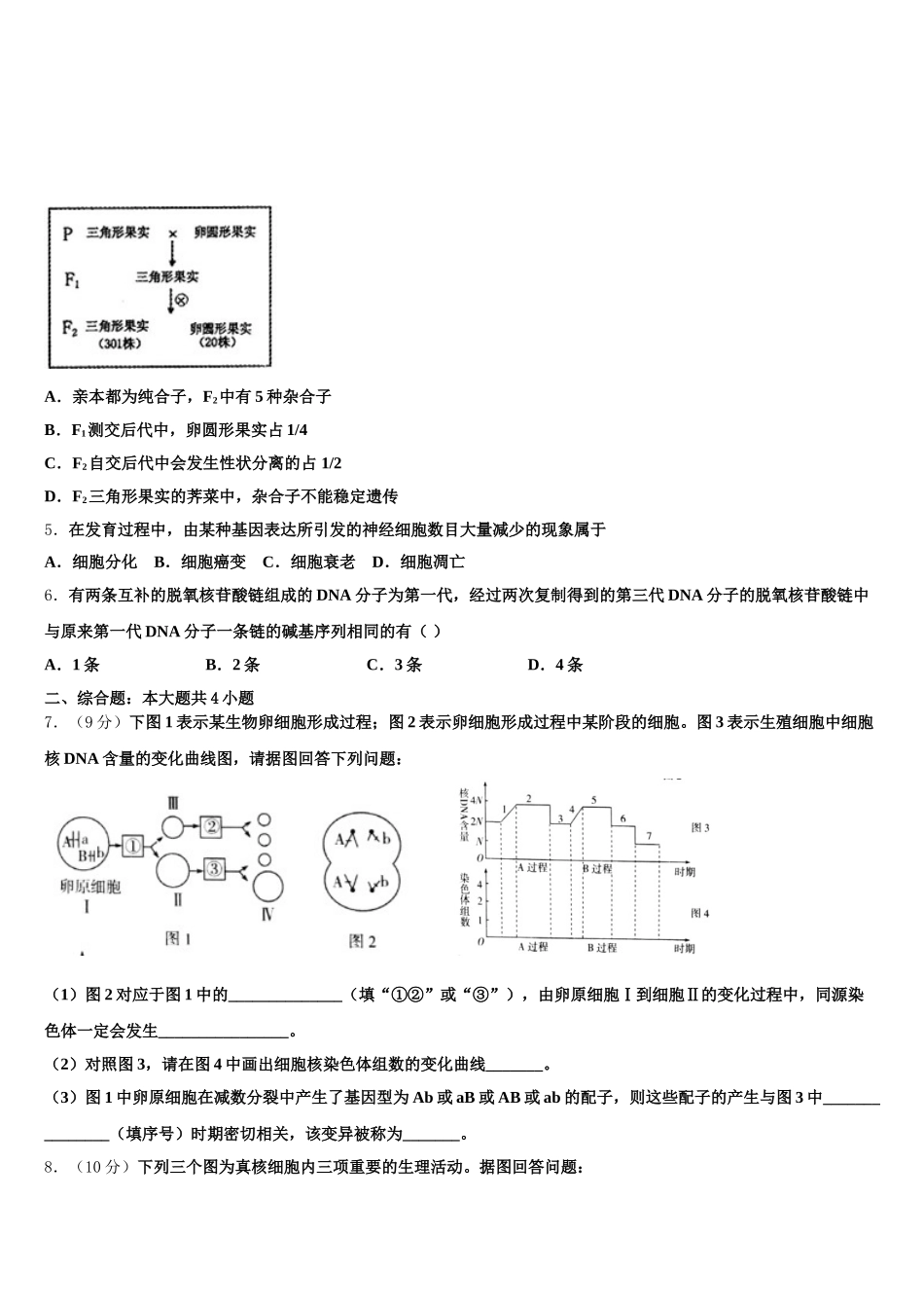 2025届江西科技学院附属中学生物高一第二学期期末综合测试模拟试题含解析_第2页