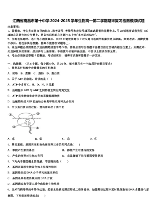 江西省南昌市第十中学2024-2025学年生物高一第二学期期末复习检测模拟试题含解析