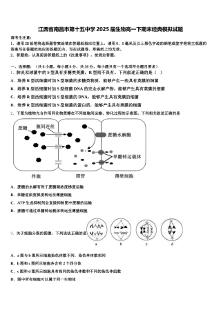 江西省南昌市第十五中学2025届生物高一下期末经典模拟试题含解析