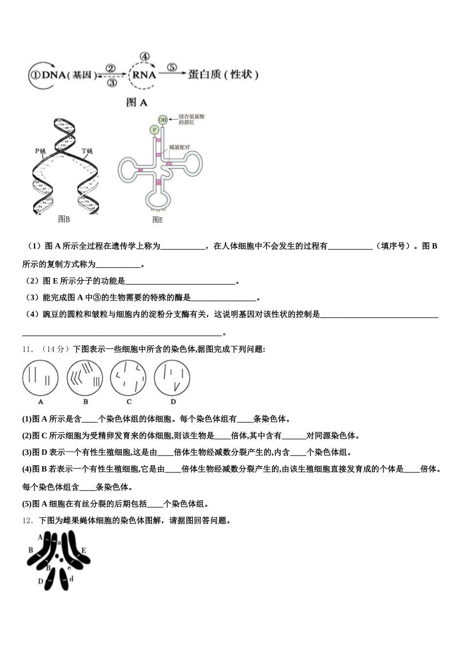 2025届江西省景德镇一中生物高一第二学期期末统考模拟试题含解析_第3页
