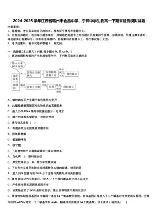 2024-2025学年江西省赣州市会昌中学、宁师中学生物高一下期末检测模拟试题含解析