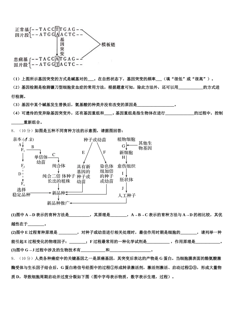 2025届江西省于都县三中高一下生物期末综合测试试题含解析_第3页