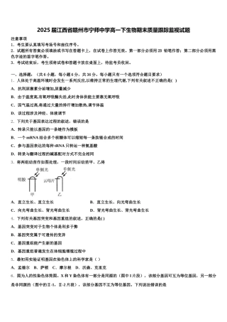 2025届江西省赣州市宁师中学高一下生物期末质量跟踪监视试题含解析
