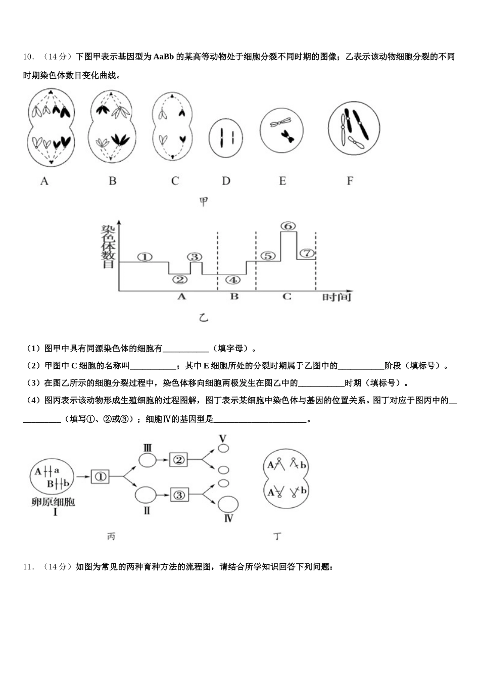 2025届江西省吉安市吉水中学高一生物第二学期期末综合测试模拟试题含解析_第3页