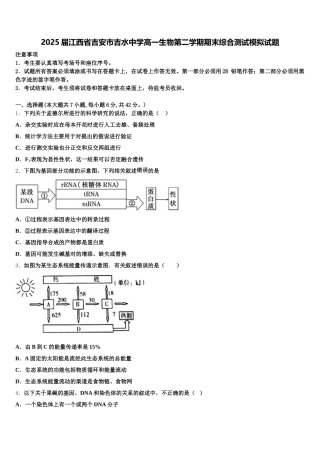 2025届江西省吉安市吉水中学高一生物第二学期期末综合测试模拟试题含解析