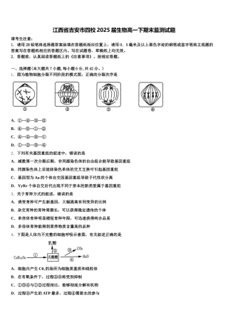 江西省吉安市四校2025届生物高一下期末监测试题含解析