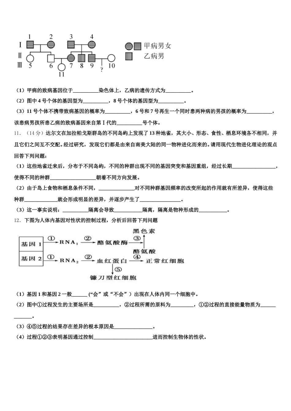 江西省新余市第六中学2024-2025学年高一生物第二学期期末教学质量检测模拟试题含解析_第3页