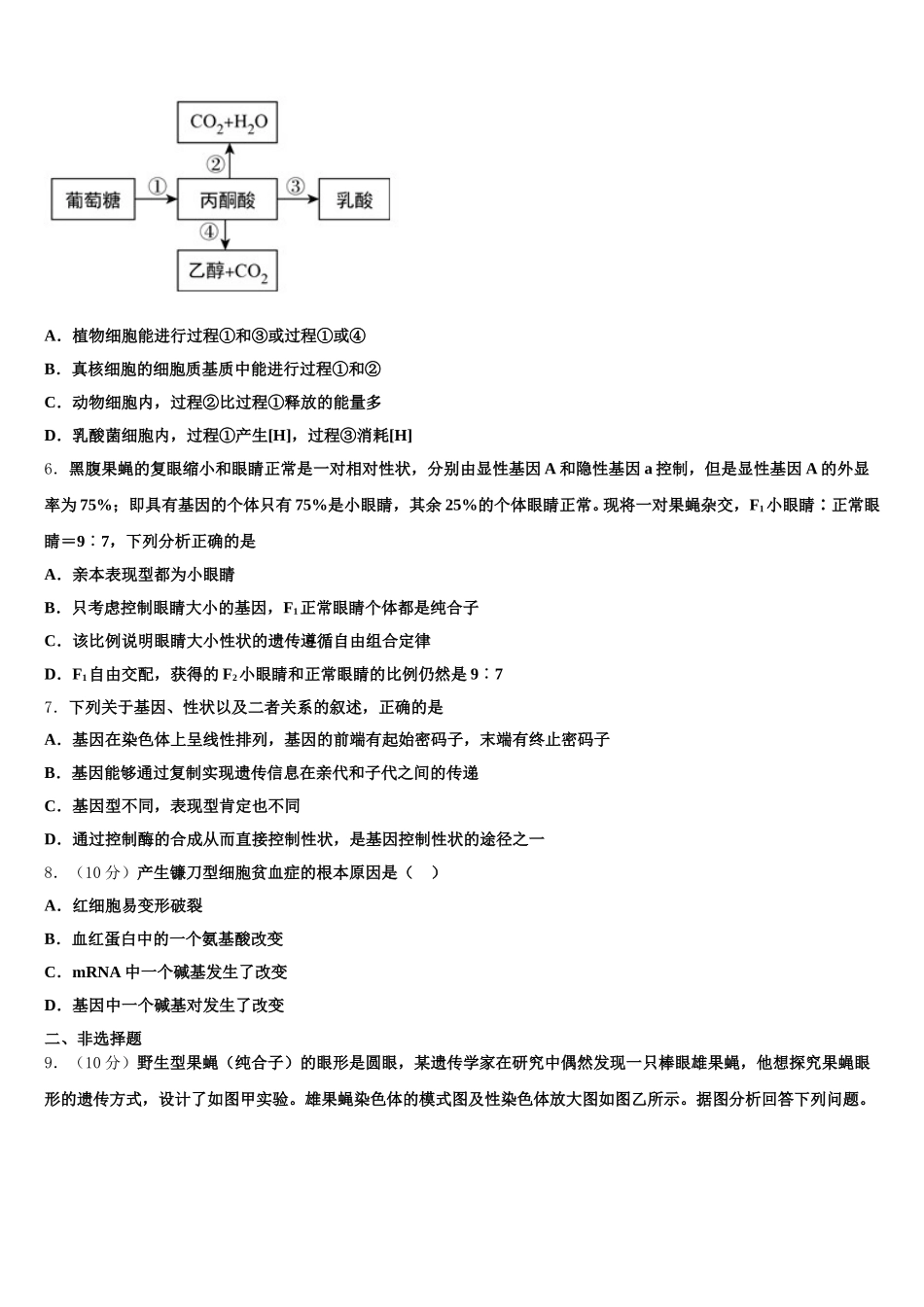 2024-2025学年江西省新余四中高一下生物期末统考模拟试题含解析_第2页