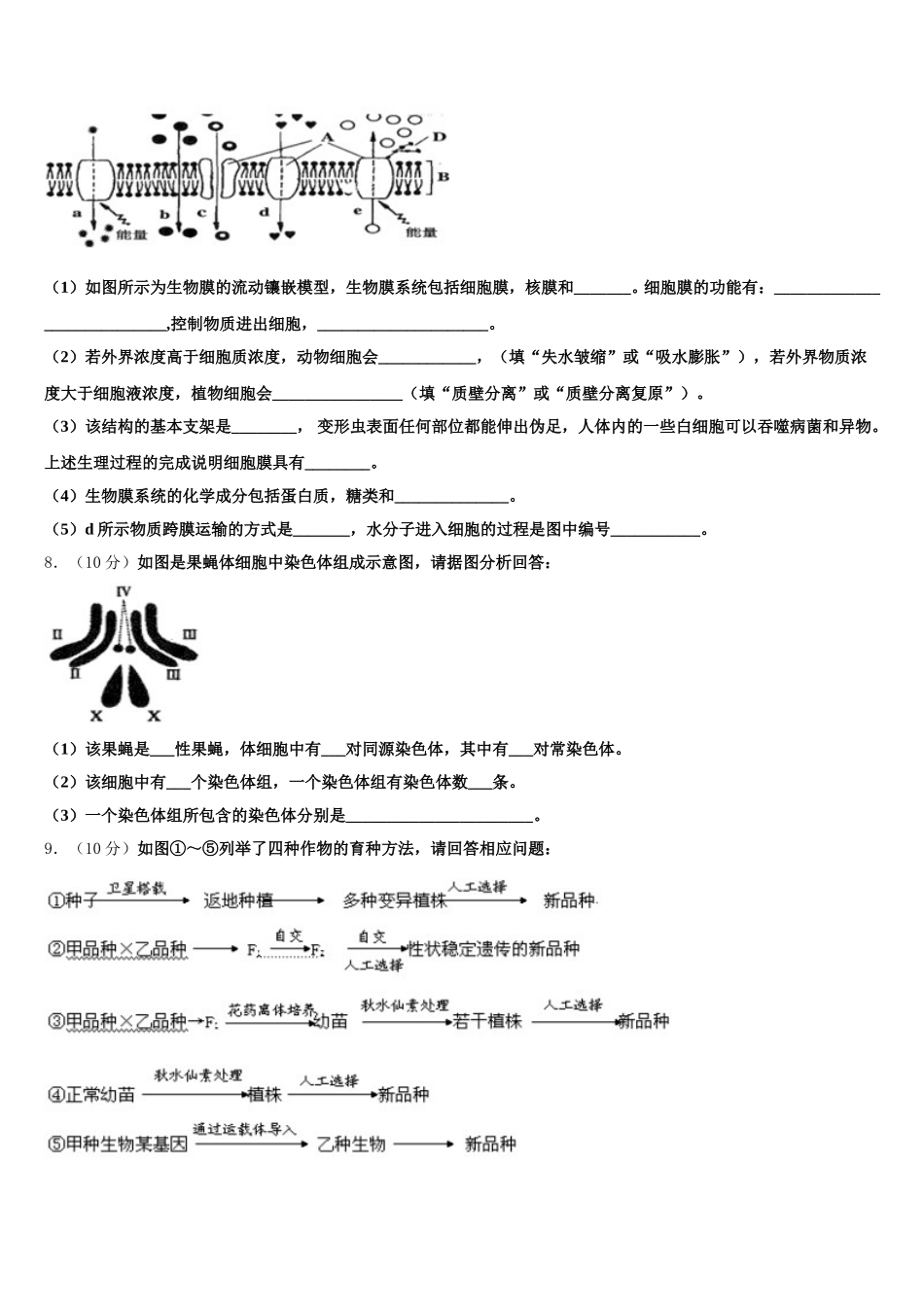 江西省上饶市玉山县樟村中学2024-2025学年高一下生物期末经典模拟试题含解析_第2页