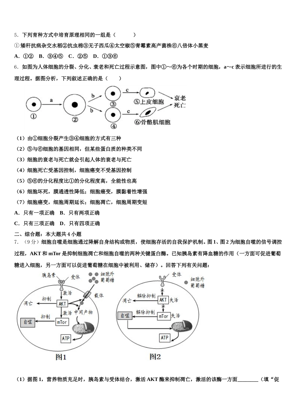 2025年江西省吉安市新干中学生物高一下期末复习检测试题含解析_第2页