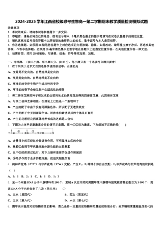 2024-2025学年江西省校级联考生物高一第二学期期末教学质量检测模拟试题含解析