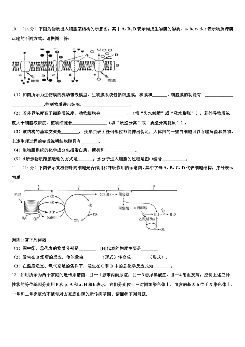 2025届江西省抚州市南城县第一中学高一下生物期末质量检测模拟试题含解析_第3页