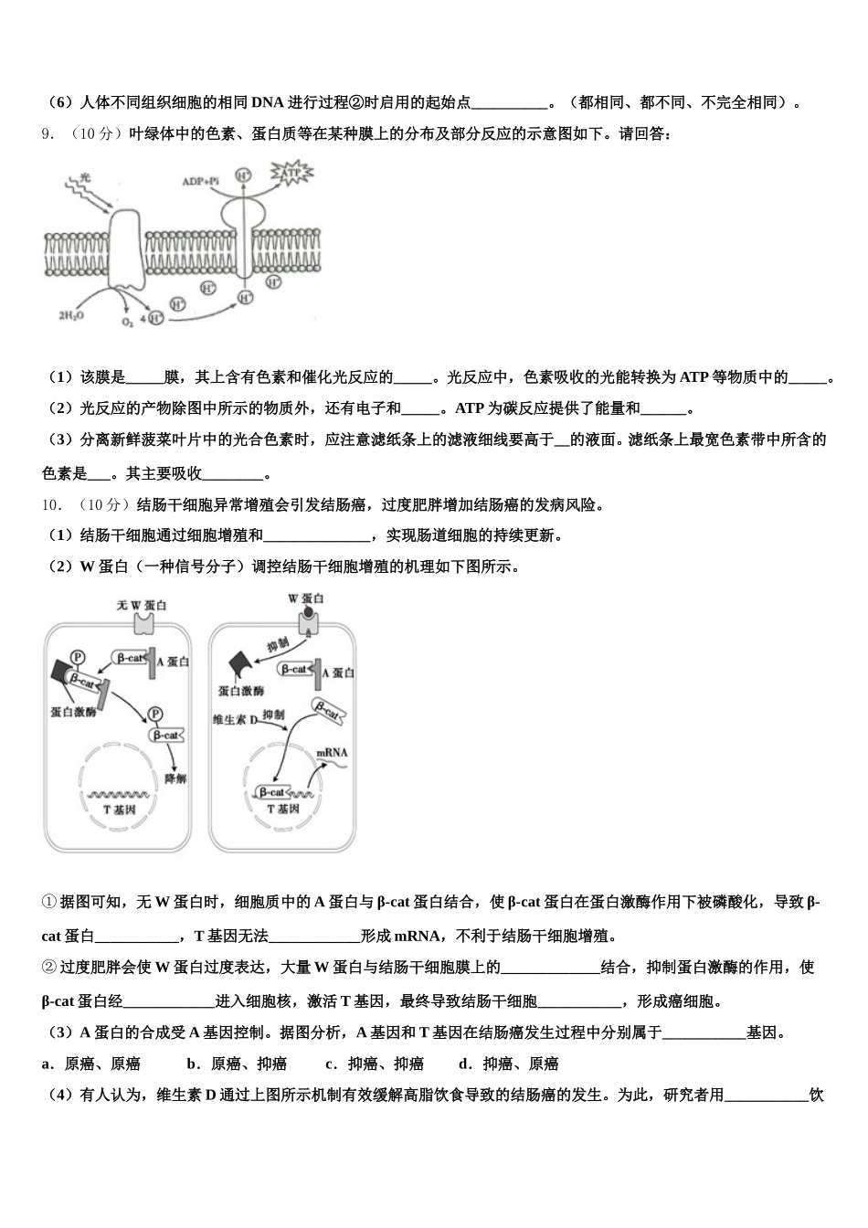 江西省赣州市宁都县第三中学2025届高一生物第二学期期末质量检测试题含解析_第3页