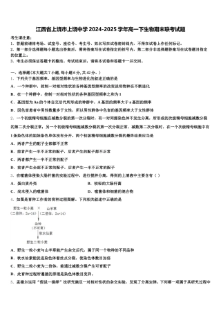 江西省上饶市上饶中学2024-2025学年高一下生物期末联考试题含解析