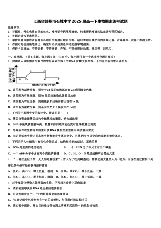 江西省赣州市石城中学2025届高一下生物期末统考试题含解析