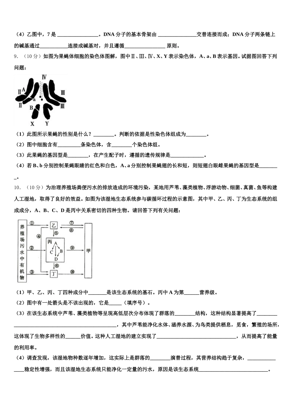 2025年江西省丰城市东煌外语实验学校高一下生物期末学业水平测试试题含解析_第3页
