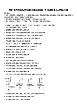 2025年江西省丰城市东煌外语实验学校高一下生物期末学业水平测试试题含解析
