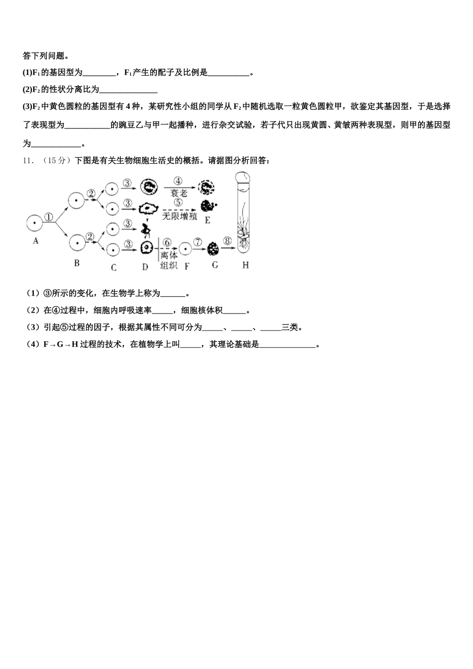 2025年江西省赣州三中高一生物第二学期期末联考模拟试题含解析_第3页