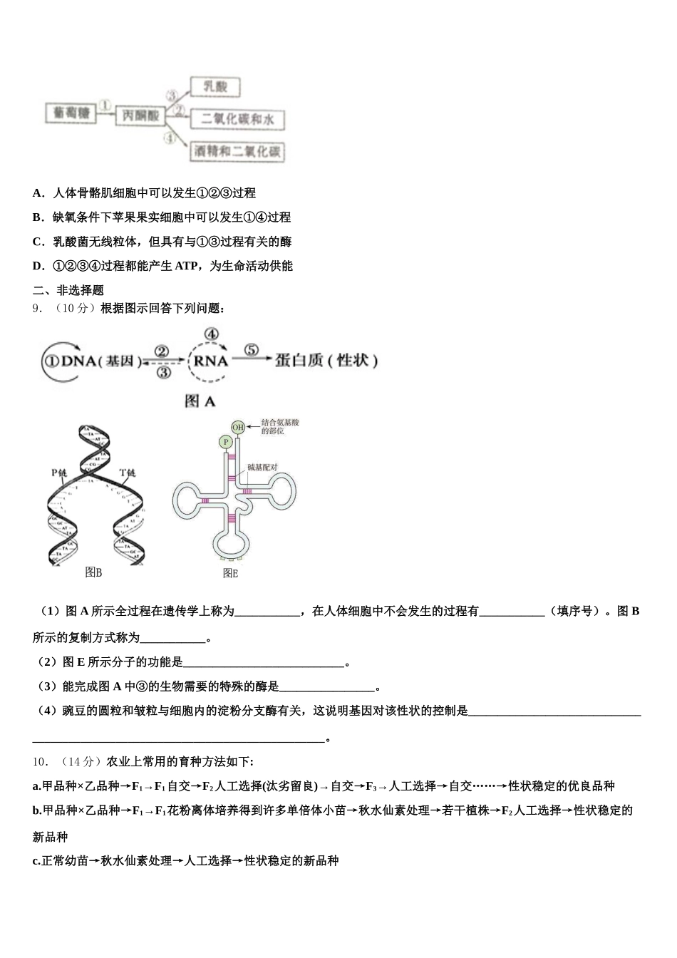 2024-2025学年南昌市第二十八中学生物高一第二学期期末综合测试试题含解析_第3页