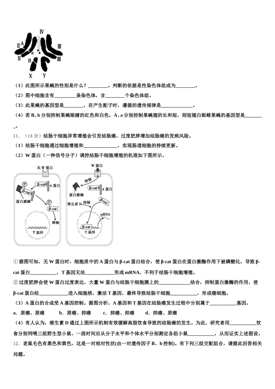 2025年江西省赣州市崇义中学生物高一第二学期期末教学质量检测试题含解析_第3页