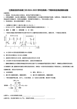 江西省吉安市永新二中2024-2025学年生物高一下期末综合测试模拟试题含解析