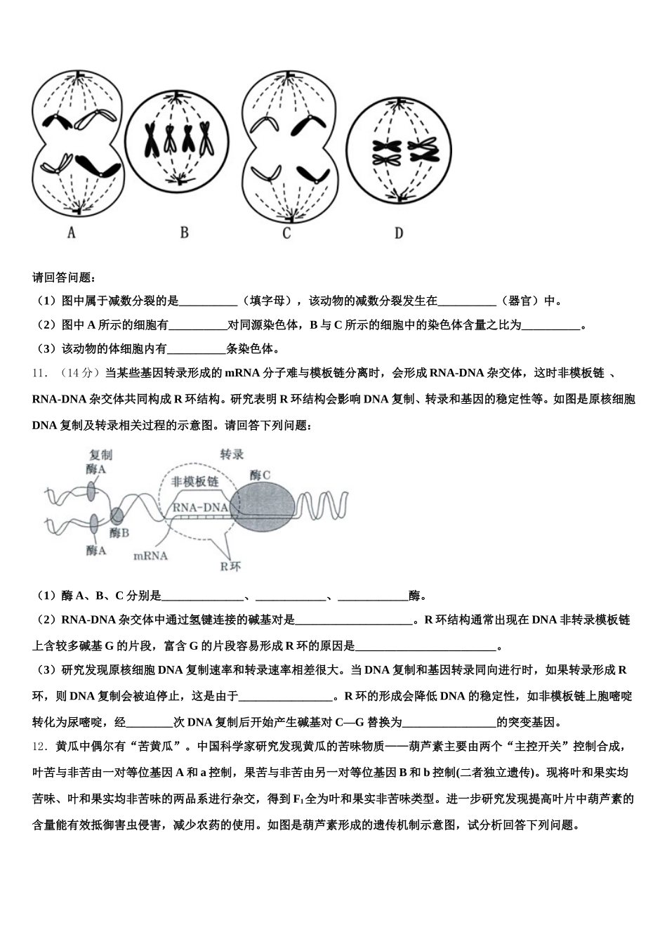2024-2025学年江西省南昌市东湖区第二中学高一生物第二学期期末统考模拟试题含解析_第3页