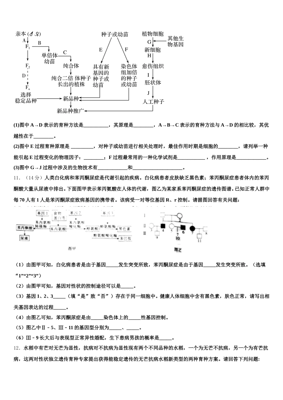 2025年江西省赣州市赣县三中高一下生物期末考试试题含解析_第3页