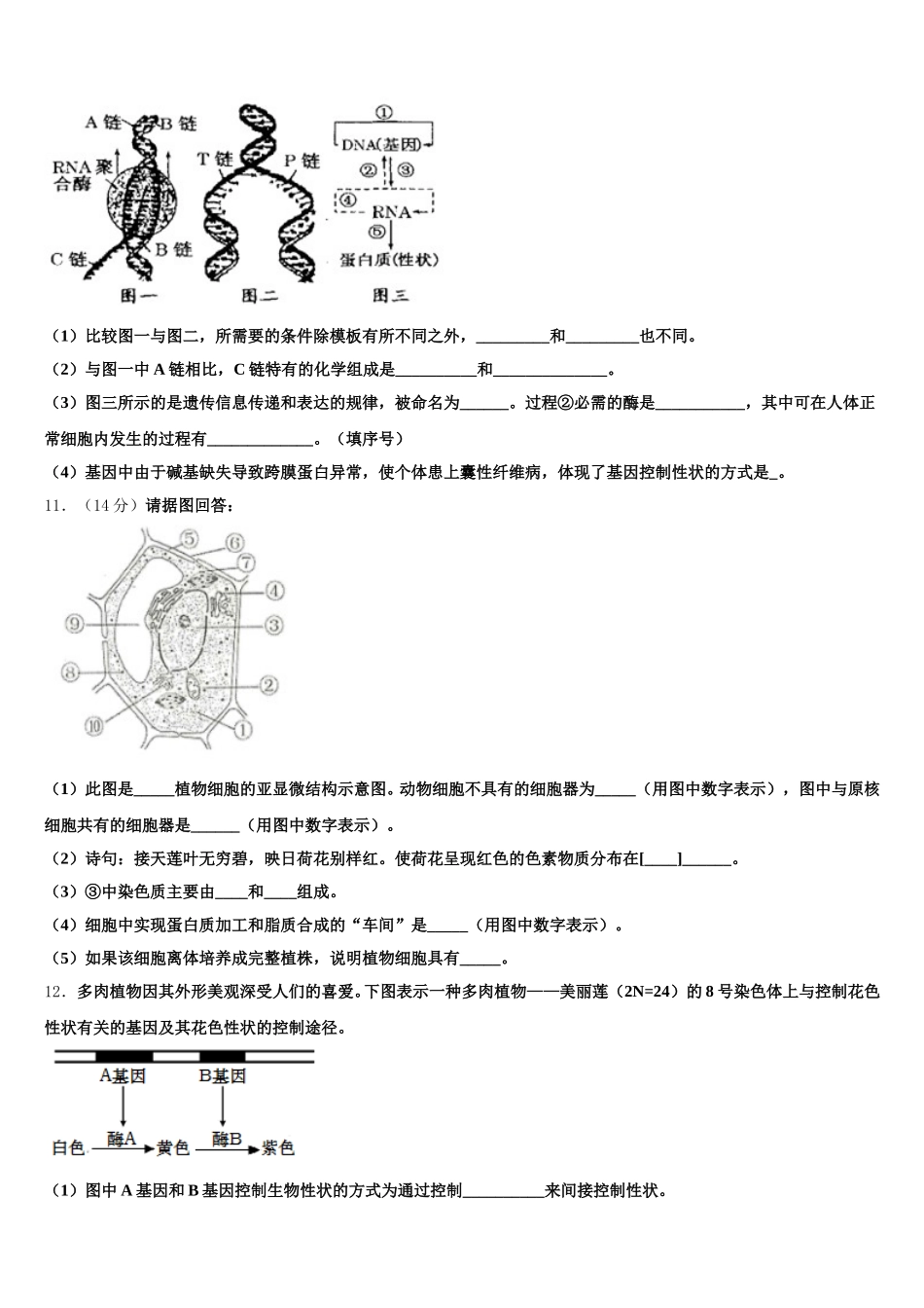 江西省南昌市新建二中2025届生物高一下期末教学质量检测试题含解析_第3页