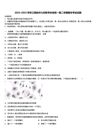 2024-2025学年江西抚州七校联考生物高一第二学期期末考试试题含解析
