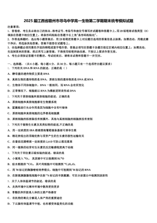 2025届江西省赣州市寻乌中学高一生物第二学期期末统考模拟试题含解析