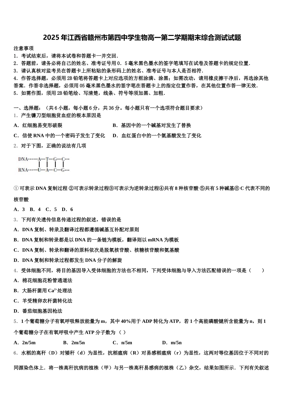 2025年江西省赣州市第四中学生物高一第二学期期末综合测试试题含解析_第1页